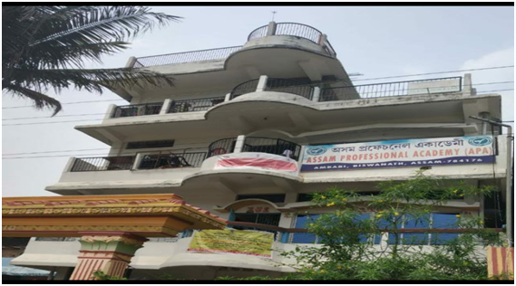 Branch Image